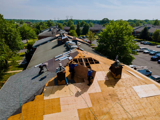 Best Emergency Roof Repair  in De Graff, OH