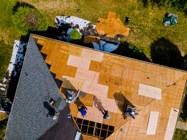 Best Local Roofing Companies  in De Graff, OH