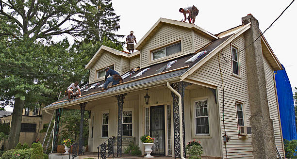 Best Metal Roofing Contractor  in De Graff, OH